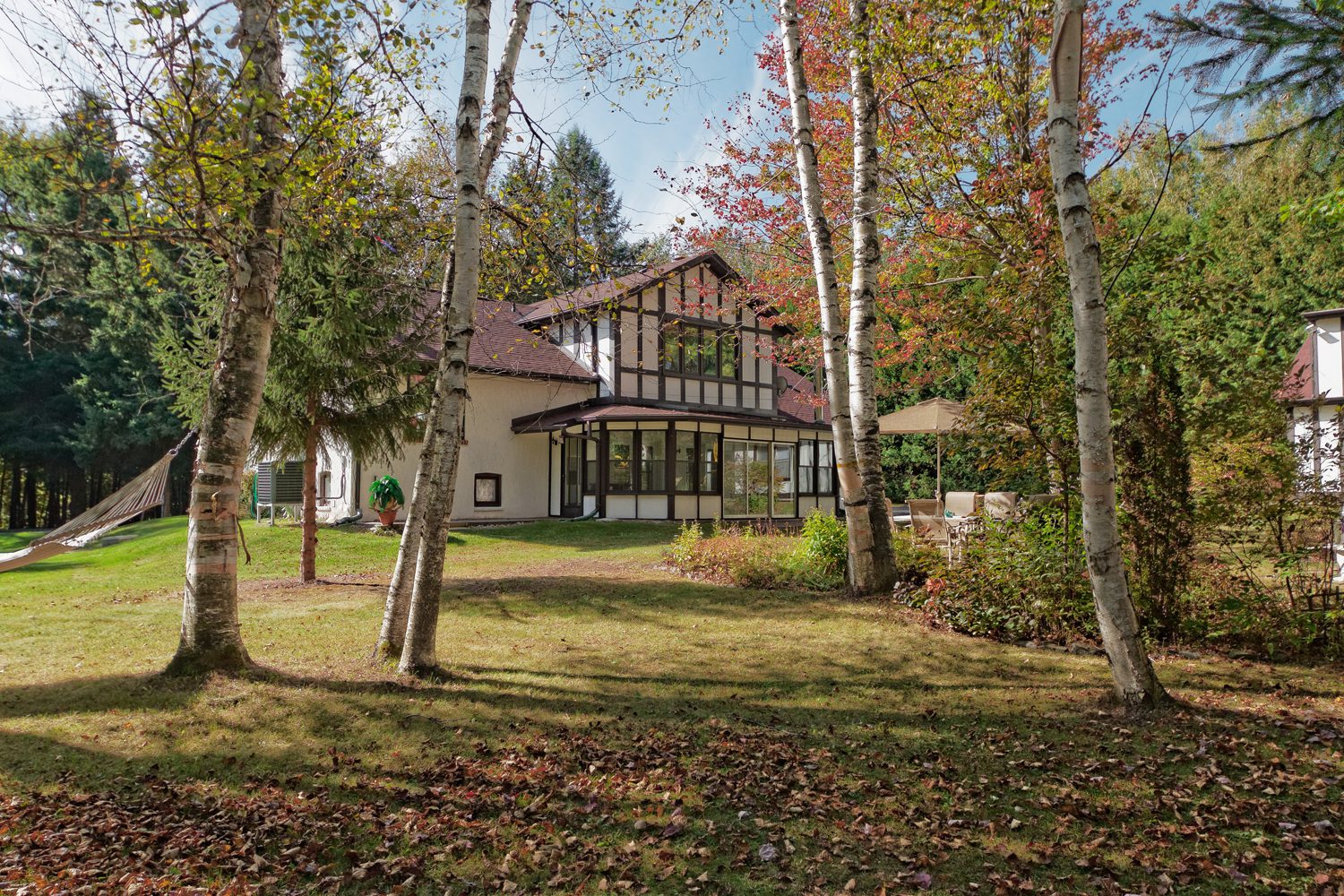 house in the forest